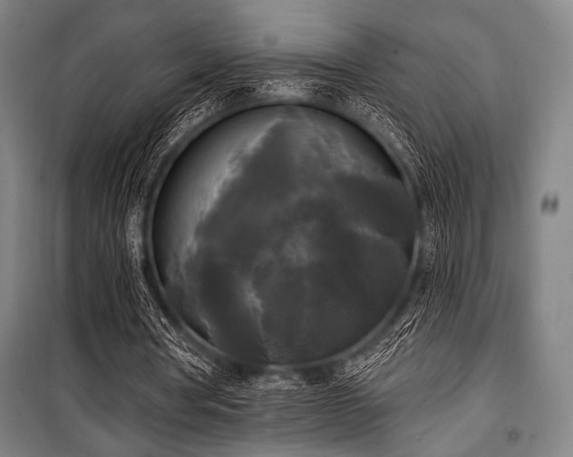 X0000100330386200806051539