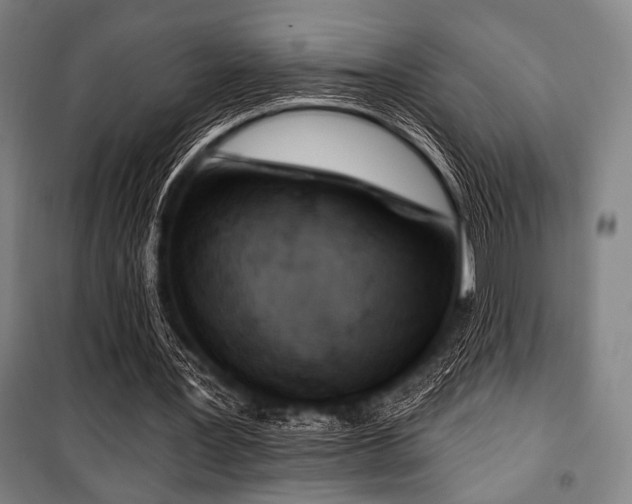 X0000100330387200806051539