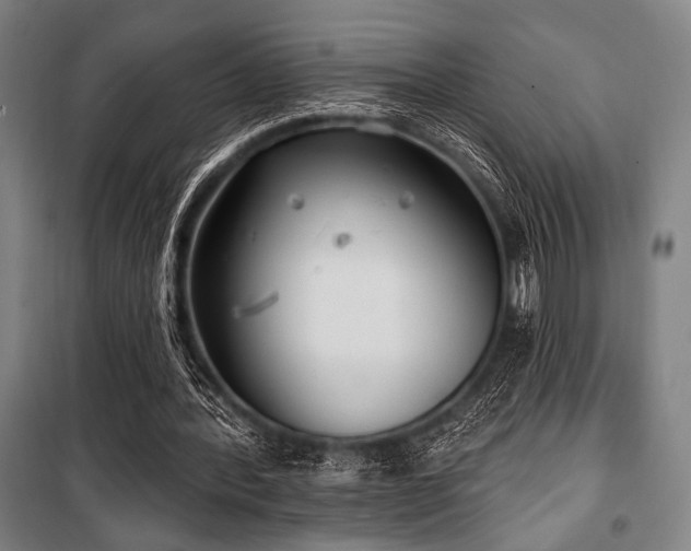 X0000100330388200806051539