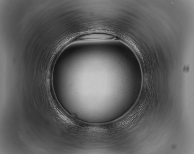 X0000100330389200806051539