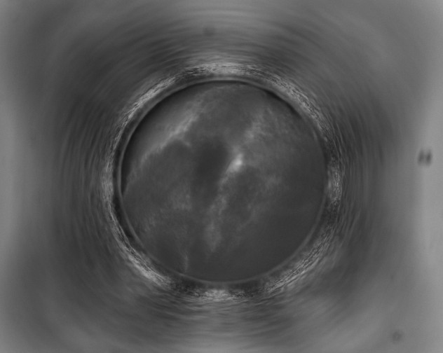 X0000100330390200806051539