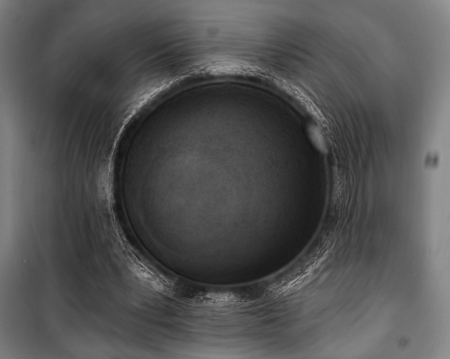 X0000100330391200806051539