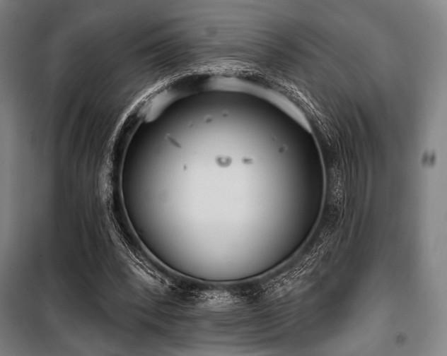 X0000100330392200806051539