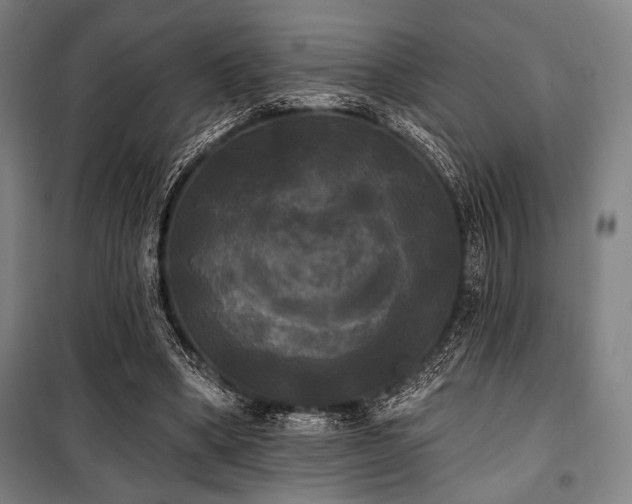 X0000100330394200806051539