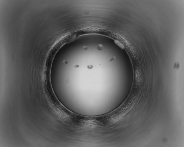 X0000100330396200806051539