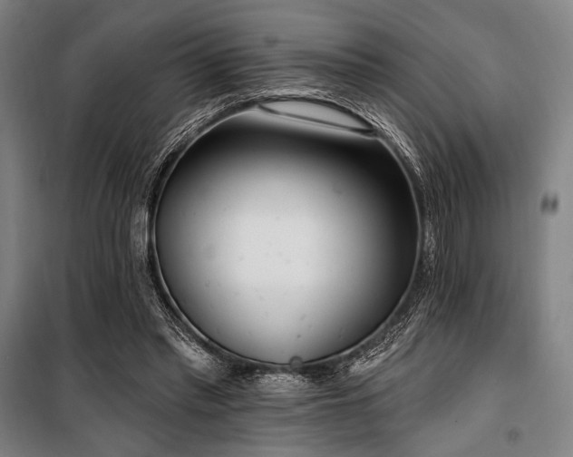 X0000100330397200806051539