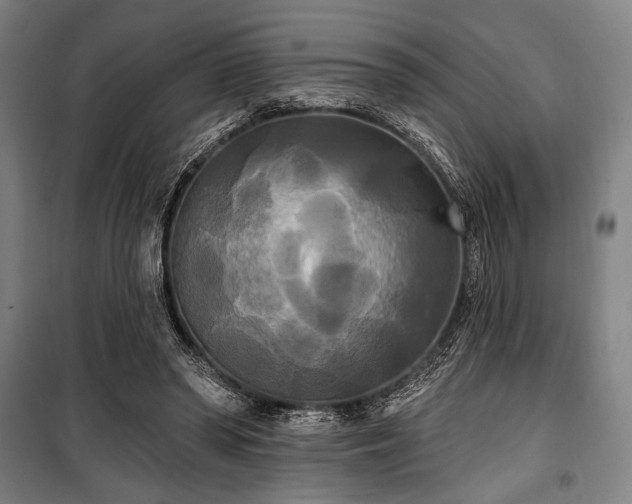 X0000100330398200806051539