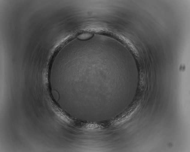 X0000100330399200806051539