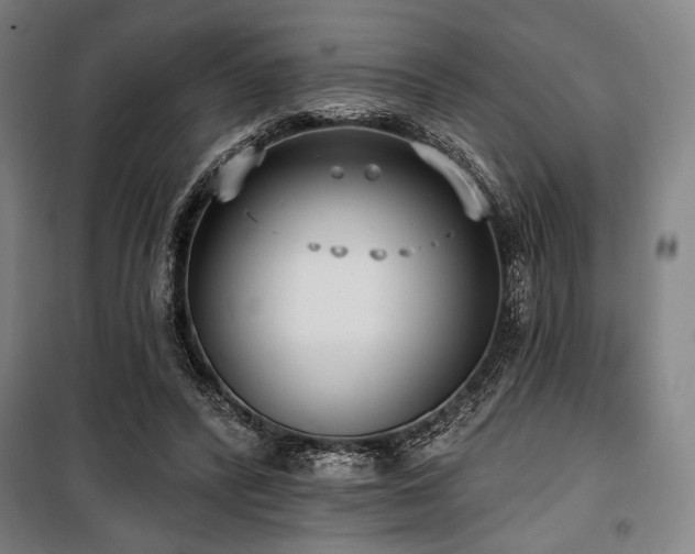 X0000100330400200806051539