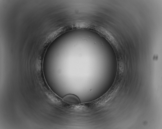 X0000100330401200806051539