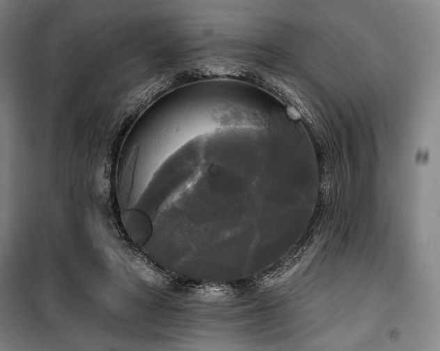 X0000100330402200806051539