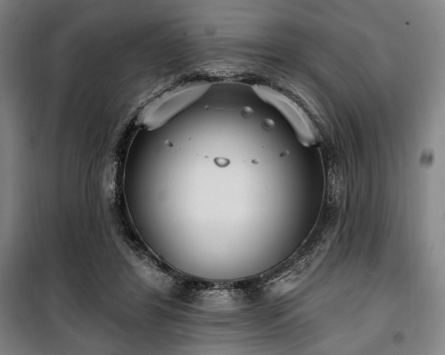 X0000100330404200806051539