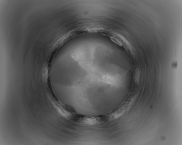 X0000100330405200806051539