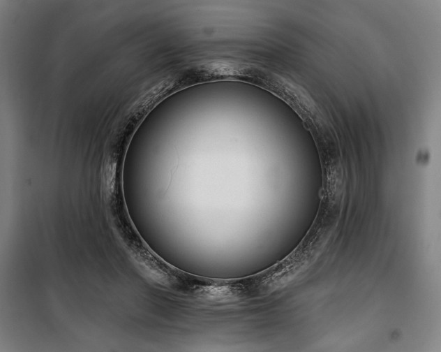 X0000100330406200806051539