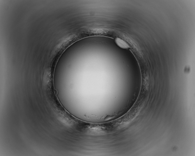 X0000100330407200806051539