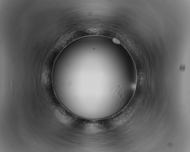 X0000100330408200806051539