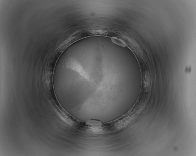 X0000100330409200806051539