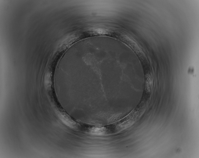 X0000100330410200806051539