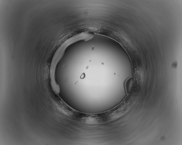 X0000100330412200806051539