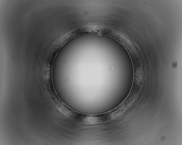 X0000100330413200806051539