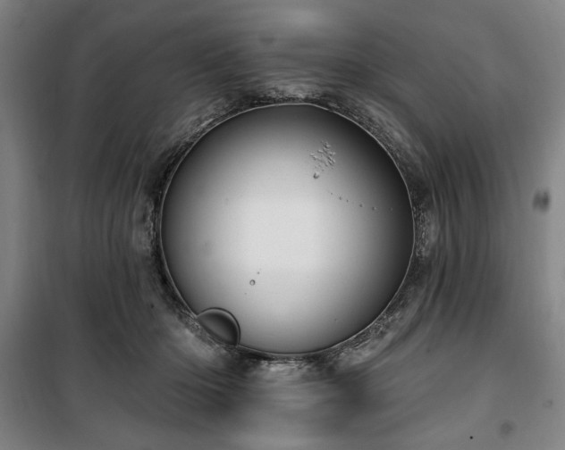 X0000100330414200806051539