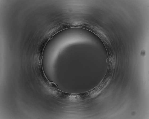 X0000100330415200806051539