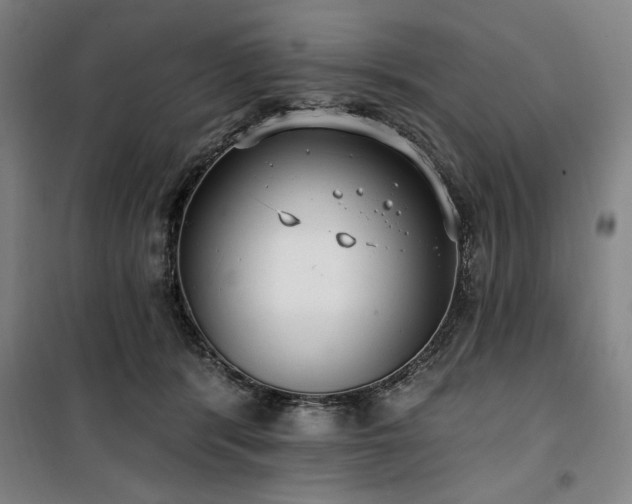 X0000100330416200806051538