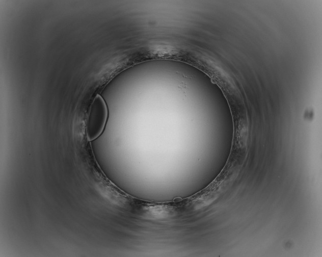 X0000100330417200806051538