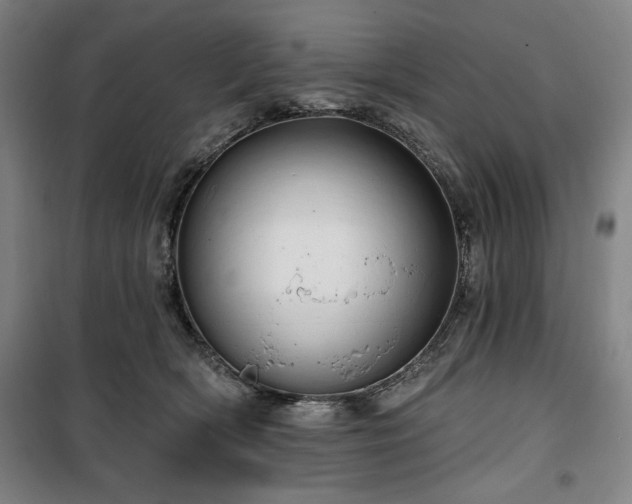 X0000100330418200806051538