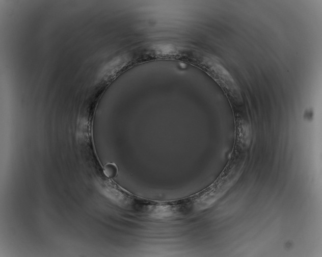 X0000100330419200806051538