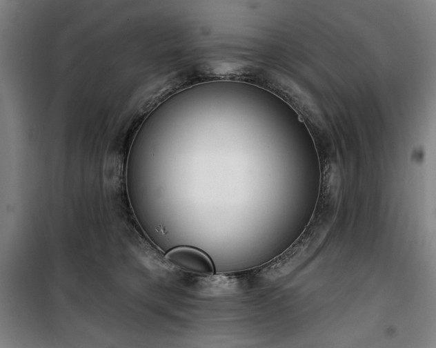 X0000100330421200806051538