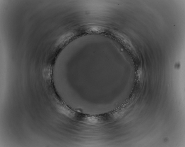 X0000100330423200806051538