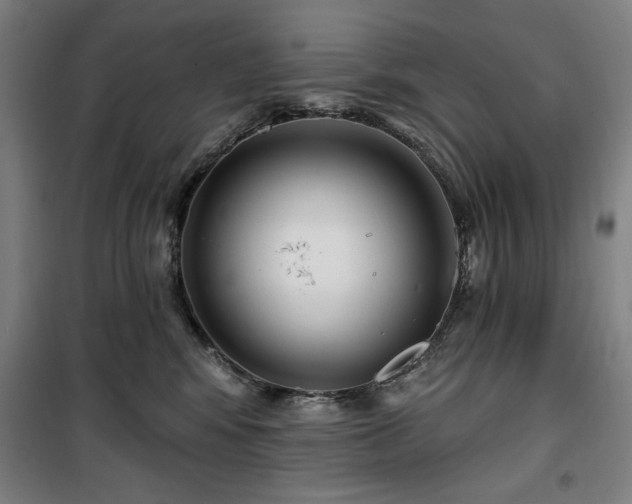 X0000100330424200806051538