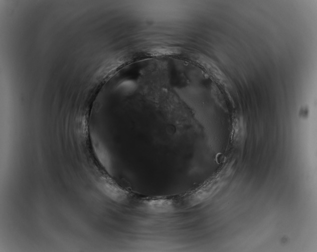 X0000100330426200806051538