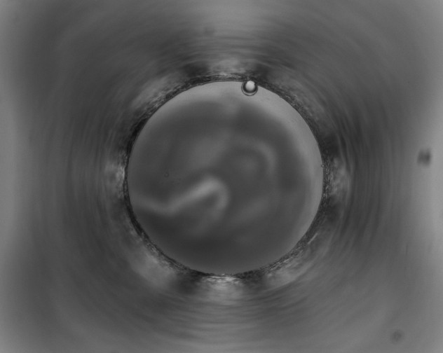 X0000100330427200806051538