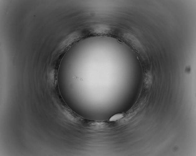 X0000100330428200806051538