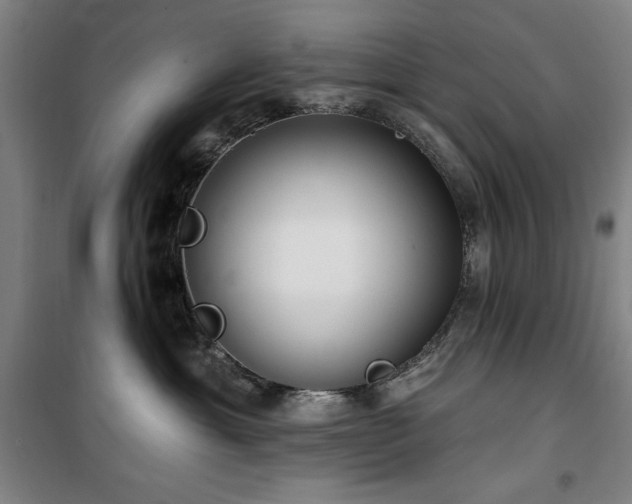 X0000100330429200806051538