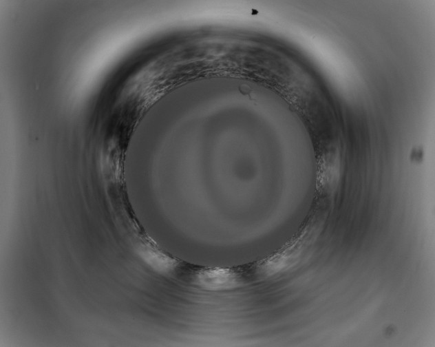 X0000100330431200806051538