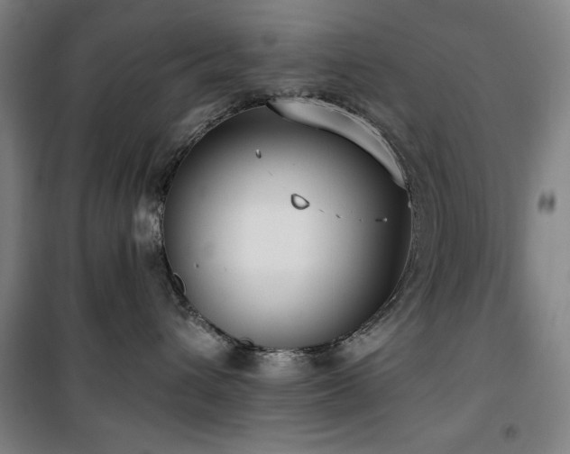 X0000100330432200806051538