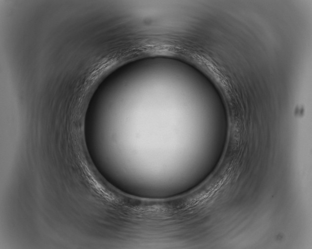 X0000100330433200806051538