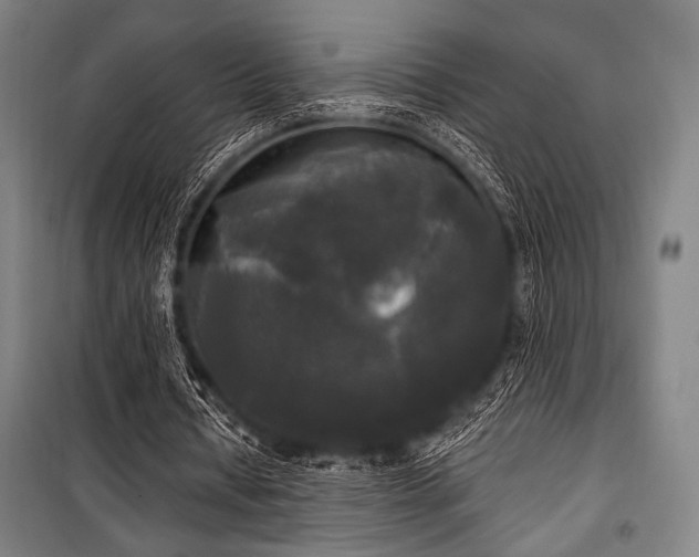 X0000100330434200806051538