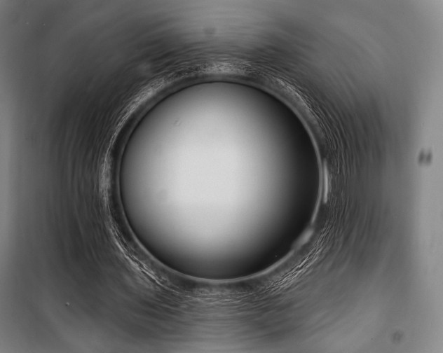 X0000100330435200806051538