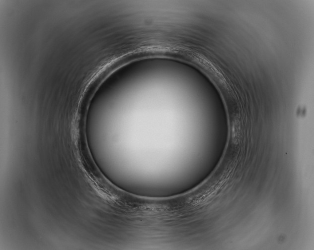 X0000100330436200806051538