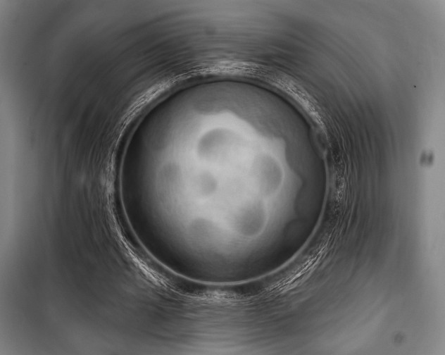 X0000100330437200806051538