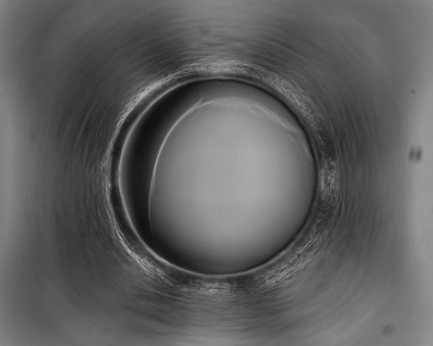 X0000100330438200806051538