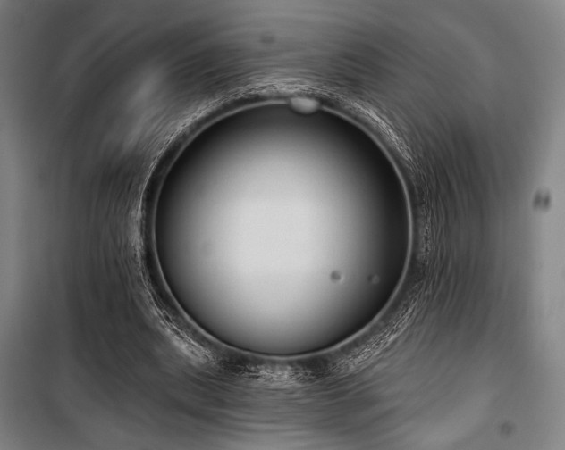 X0000100330439200806051538