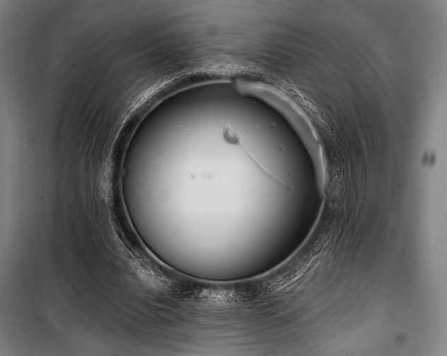 X0000100330440200806051538