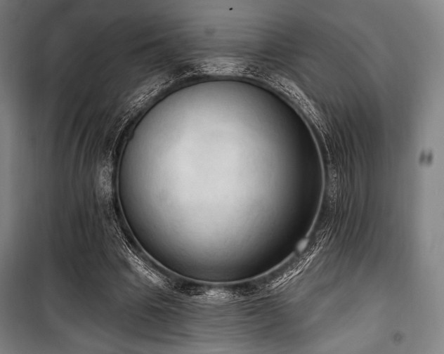 X0000100330441200806051538