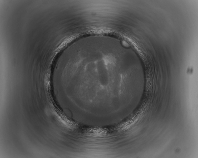 X0000100330443200806051538