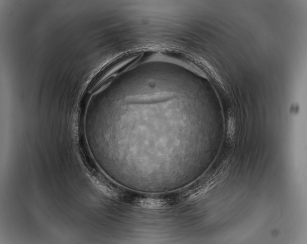 X0000100330444200806051538